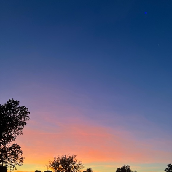 Meet your Posher, Jessica - Picture 1 of 1